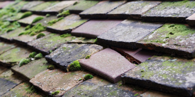 George Green roof repair costs